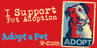 Adopt A Pet,adopt a pet com,adopt a pet fenton,adopt a pet michigan,adopt a pet az,adoptapet near me,adoptapet,pets to adopt
